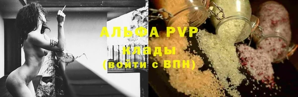гашик Баксан