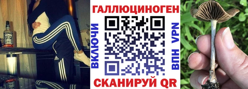 Псилоцибиновые грибы Psilocybe  Советск 